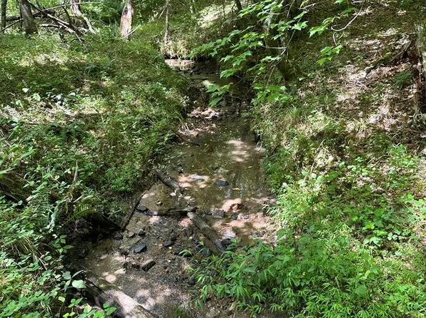 Rock Hill Community Rd, Bassett, VA 24055