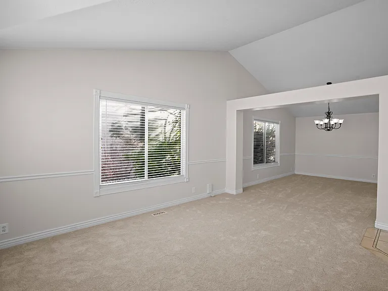 E Candle Spruce Cv — Photo 3
