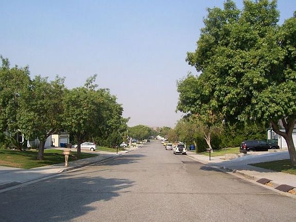 Quiet tree-lined street