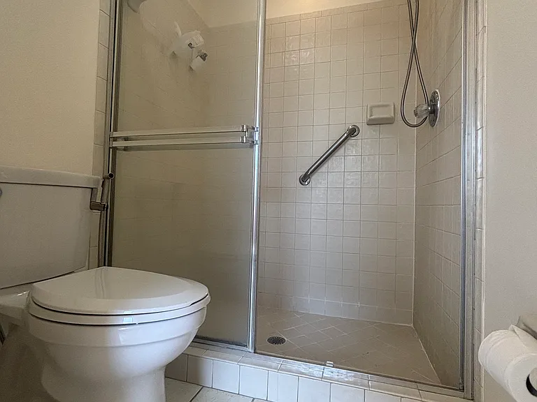 Master bathroom shower and toilet