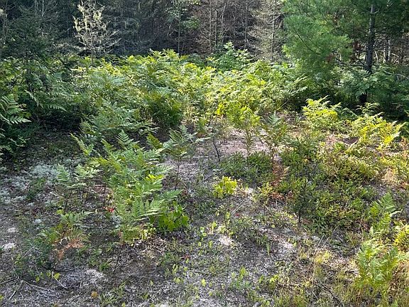 5th image of 0 Unnamed Rd