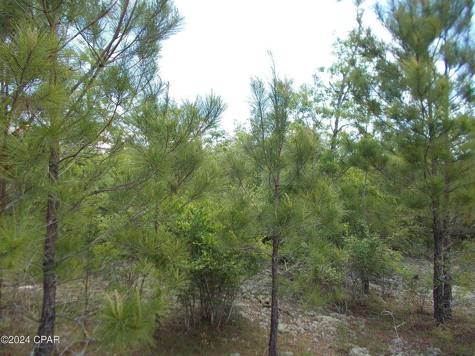 1st image of Parrot Bay Dr