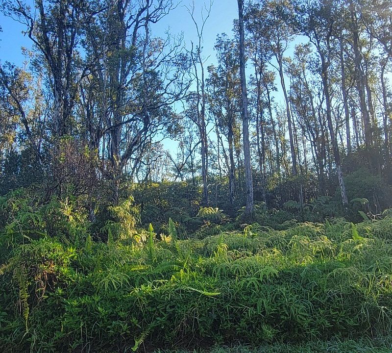 1st image of Bamboo Dr Lot 63