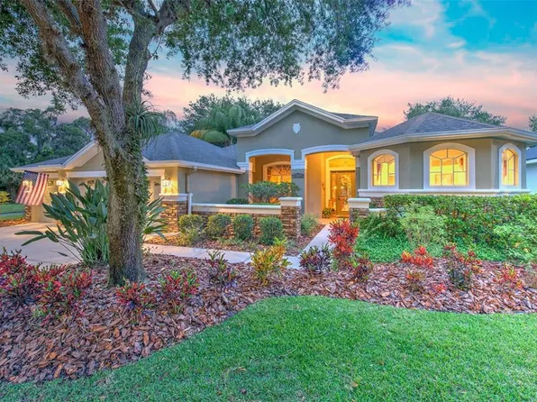 15730 Ibisridge Dr, Lithia, FL 33547