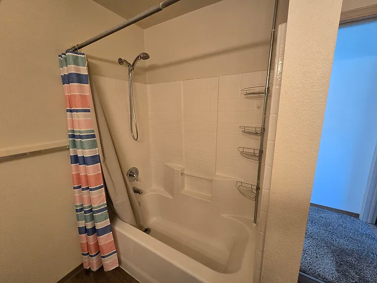Main bathroom shower