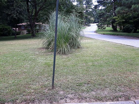 View looking up Randee Street