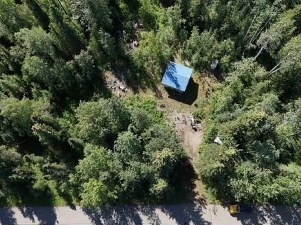 Nhn Salcha Ave, Delta Junction, AK 99737