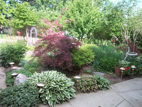 Front Yard landscape