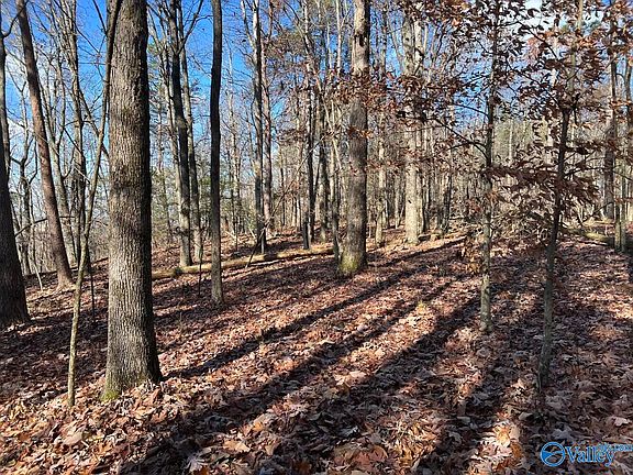 3rd image of County Road 483