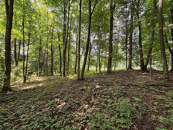 2nd image of Maple Rd