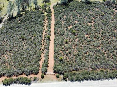 0 Lake View Loop, Stonyford, CA, 95979