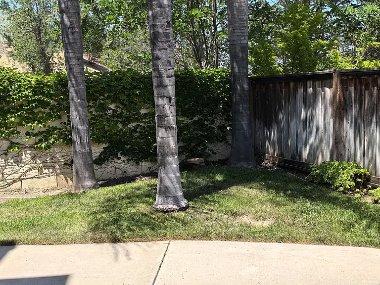 2647 Presidio Dr — Photo 24