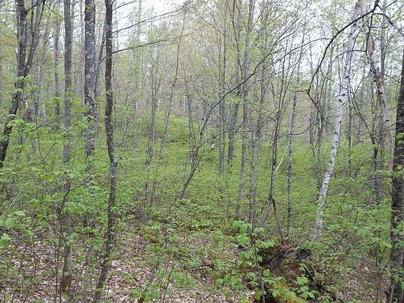 5th image of ON BIG DOE RD