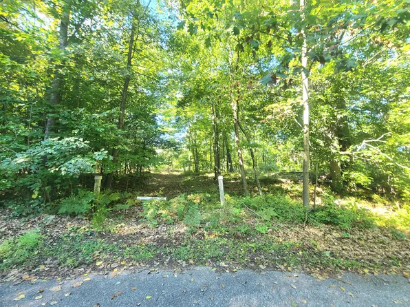 PARCEL Spruce Rd #A, Lakeview, MI 48850