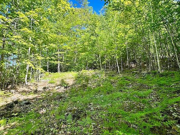 3rd image of Lot #31A McDaniels Road