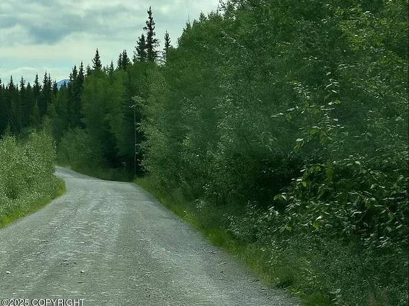 21 Dixon Dr, Copper Center, AK 99573
