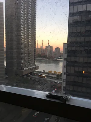 Rented by Owner | media 14