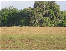 2nd image of 12232 Broadwater Loop