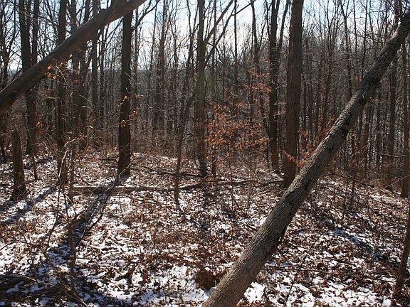 4th image of Dutchmans Creek