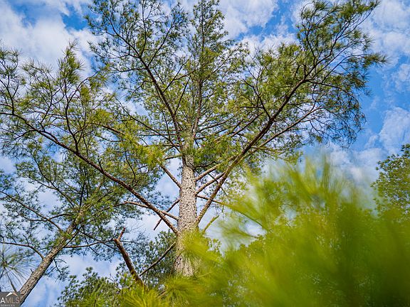 4th image of 2 Smith Rocky Branch Rd