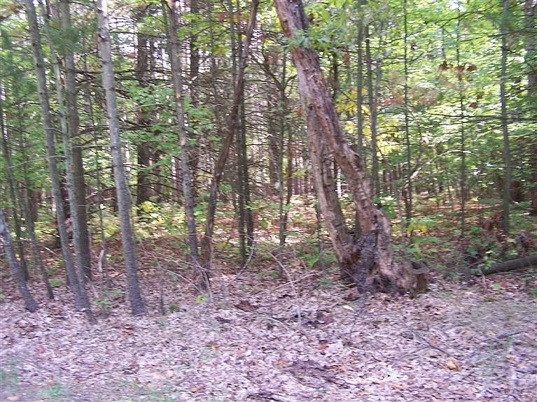 2nd image of 5715 Dalson Rd