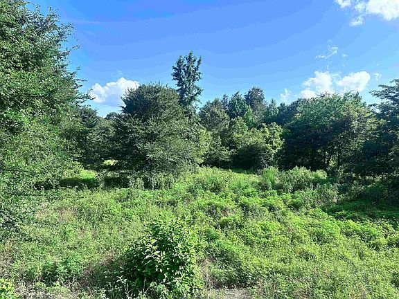 2nd image of Cherokee Trce