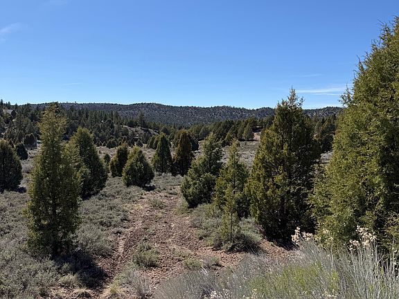 2nd image of 4129 N Uintah Dr