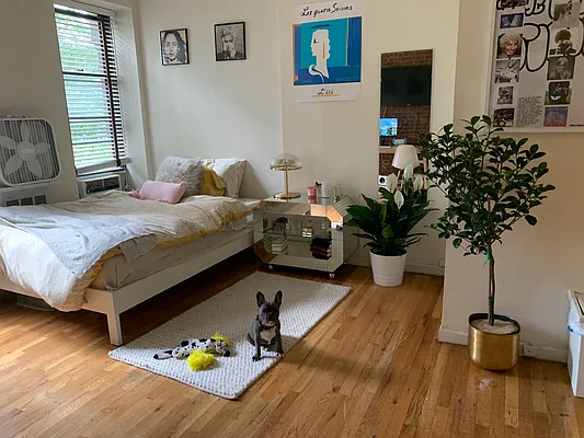 Rented by Oxford Property Group | media 66