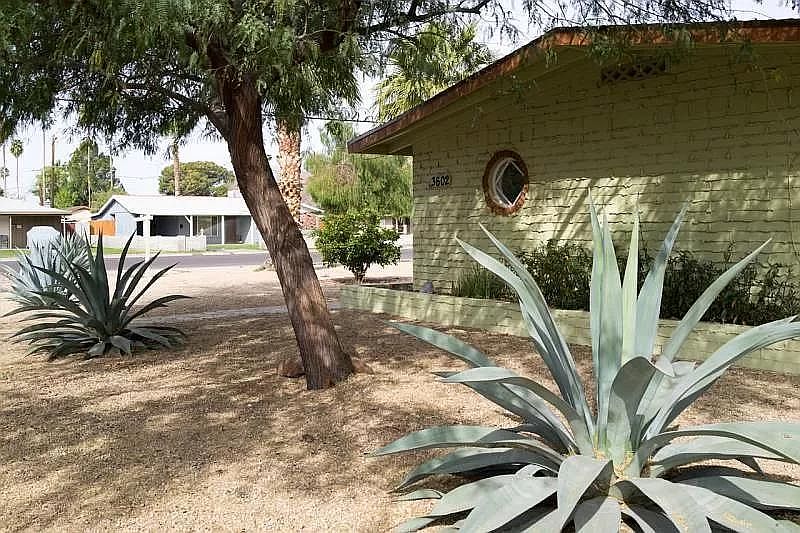 1st image of 3602 E Glenrosa Ave APT 2