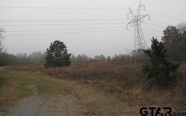 1st image of 99.8 Ac Loop Hwy #571-259