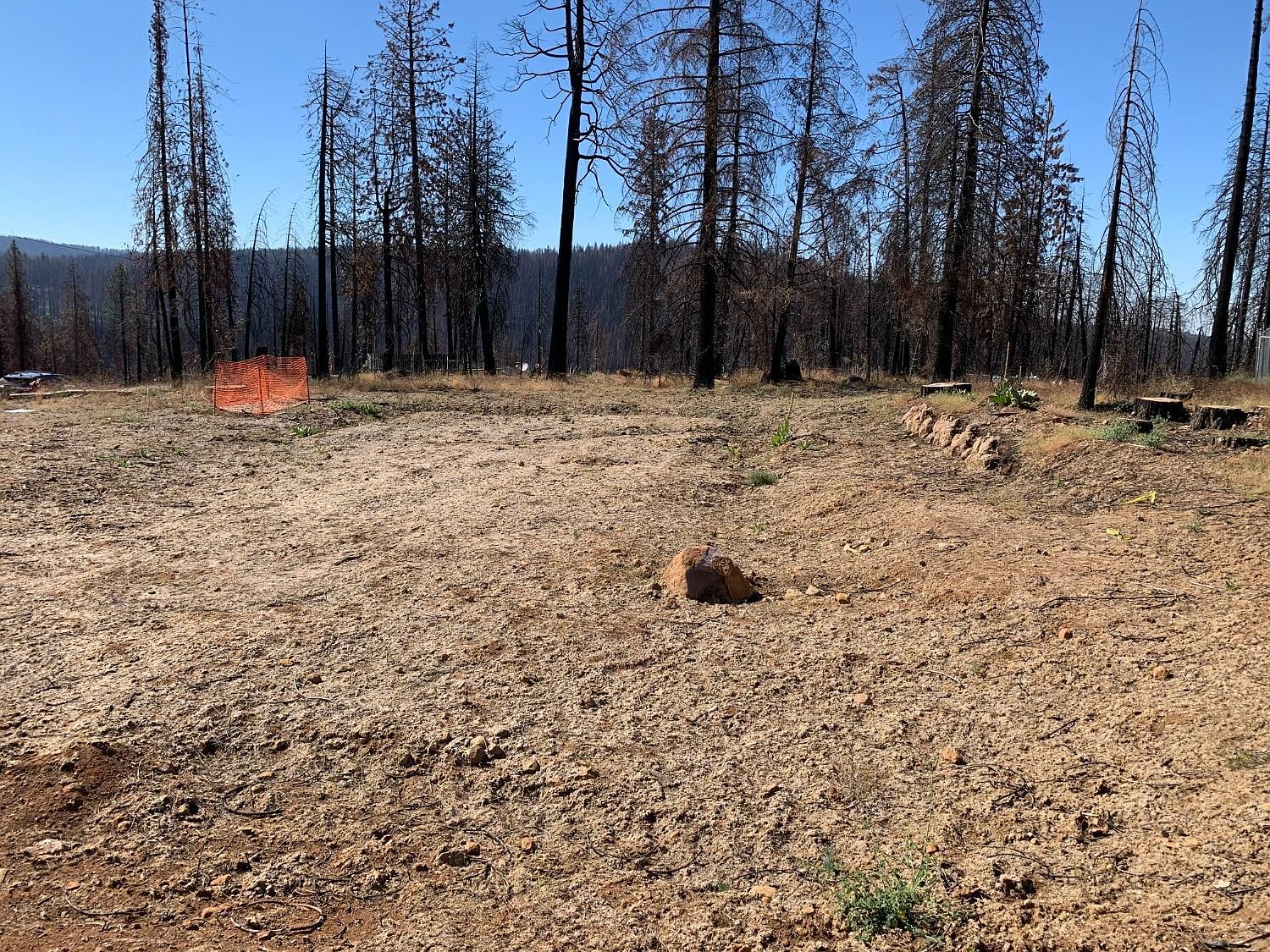 6731 Tyler Dr, Grizzly Flats, CA 95636 Zillow