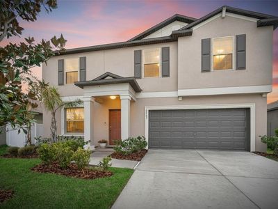 12905 Wildflower Meadow Dr, Riverview, FL, 33579