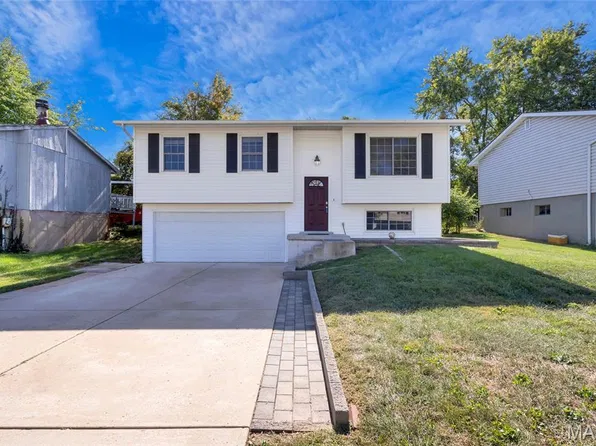 234 Stillbrook Estates Dr, Fenton, MO 63026