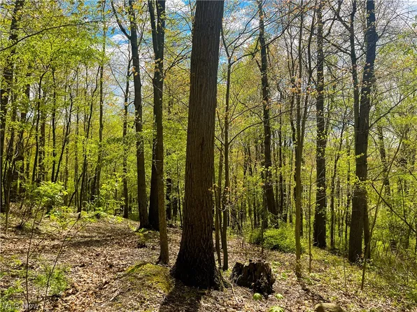 2733 County Road 967, Perrysville, OH 44864