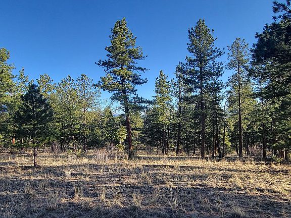 4th image of LOT 9 County Road 261