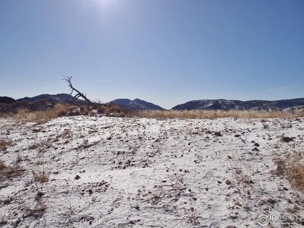 83 Bull Rock Ct, Livermore, CO 80536