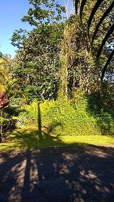 3rd image of Silversword Ct Lot 28