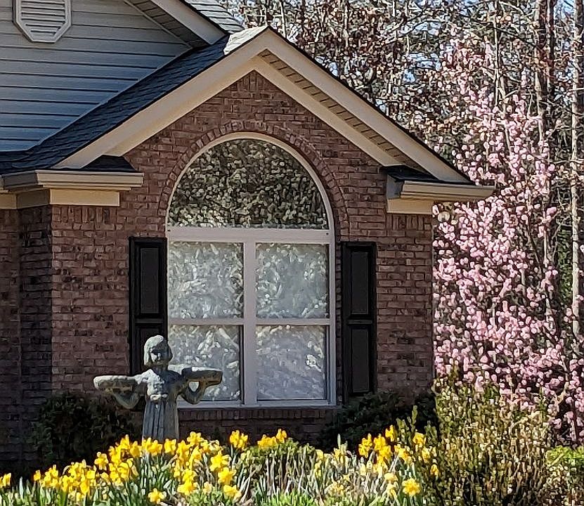 New painted shutters 2023