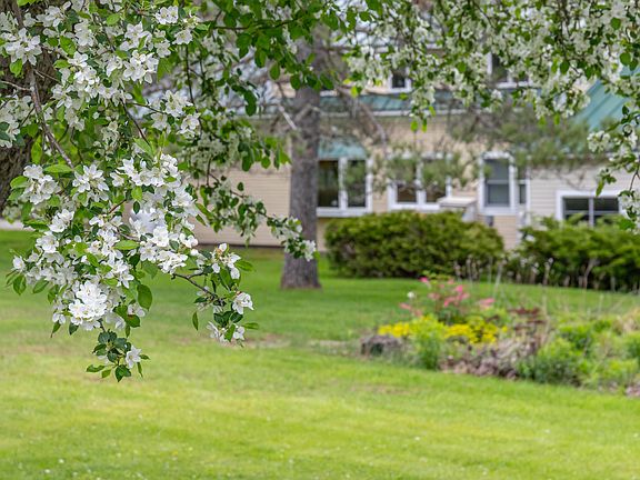 3rd image of 303 Williams Road