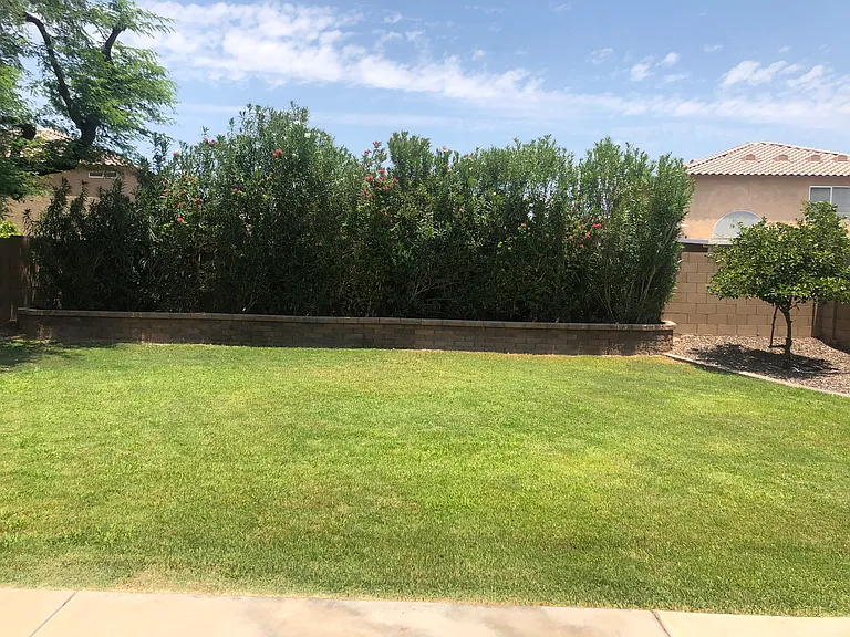 9620 W Sunnyslope Ln — Photo 11