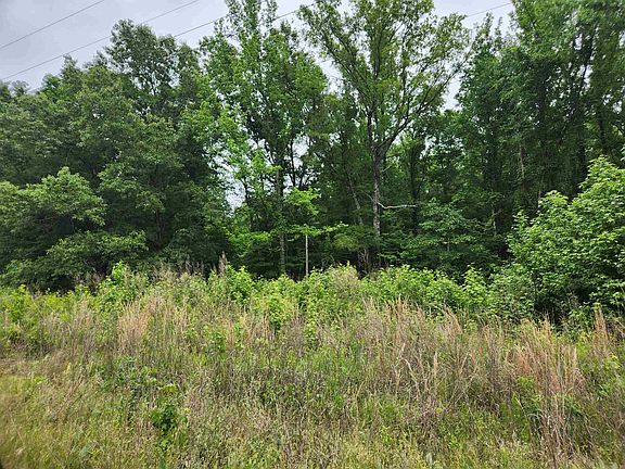 4th image of 314 Arappaho Rd