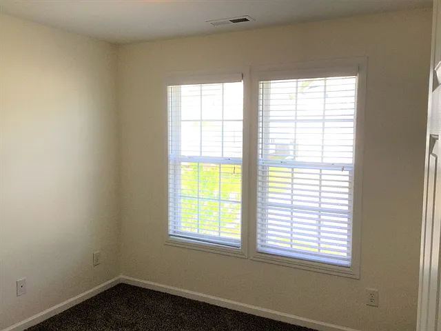 3912 Carolina Cherry Dr — Photo 13