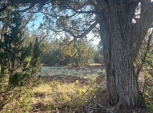 30 N 8161st, Concho, AZ 85924