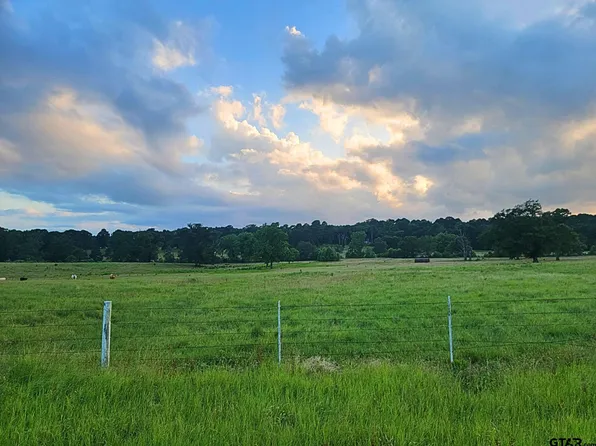 0 Fm 778, Quitman, TX 75783