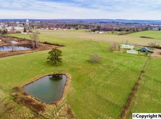 310 Spruce St, Henagar, AL 35978