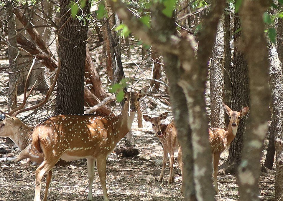 2nd image of (Undisclosed Address)