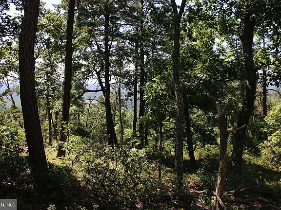 4th image of Wolf Spring Trl