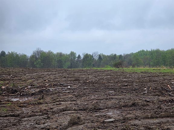 5th image of 5271 Crane Rd