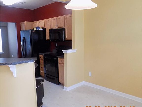 4th image of 5697 Yellow Jasmine Ter