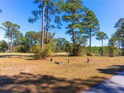 Xx Sapelo Park Dr NE, Townsend, GA, 31331